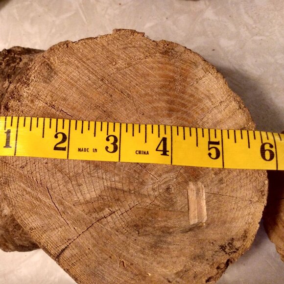 Two Small Real Wood Tree Stumps Fairy Garden Gnome Village Rustic Accent - Picture 7 of 11